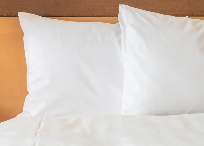 Crowne Plaza - West Loop By Ihg Hotel Chicago
