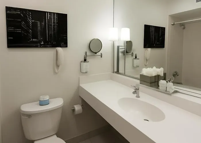 Hotel Crowne Plaza - West Loop By Ihg Chicago